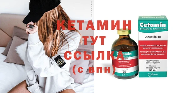 дживик Ельня