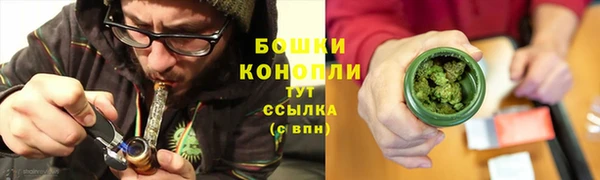 эйфоретик Няндома