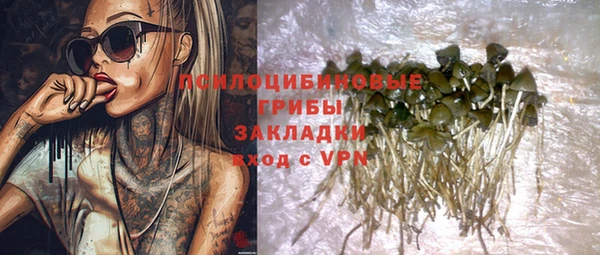 твердый Нягань