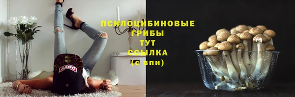 дживик Ельня