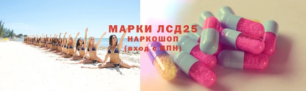 дживик Ельня