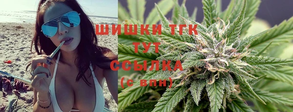 индика Заволжье