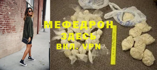 дживик Ельня