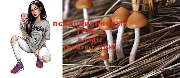 твердый Нягань