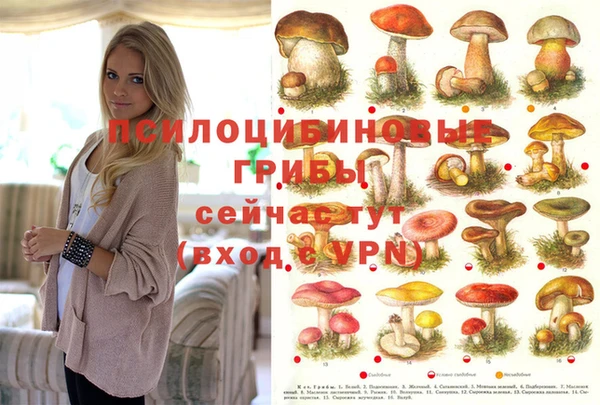 дживик Ельня