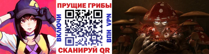 Галлюциногенные грибы Psilocybine cubensis  дарк нет состав  Сельцо 