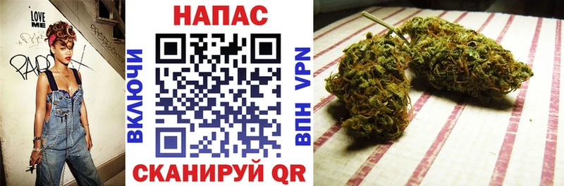 Шишки марихуана конопля Сельцо